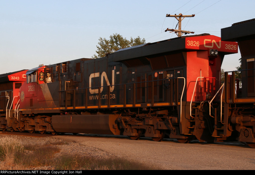 CN 3826